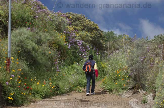 Wanderung auf Gran Canaria